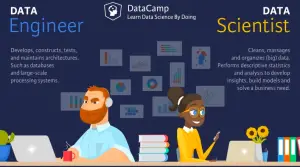 data scientists